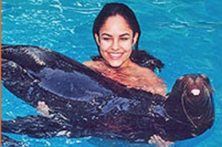 Nado con leones marinos